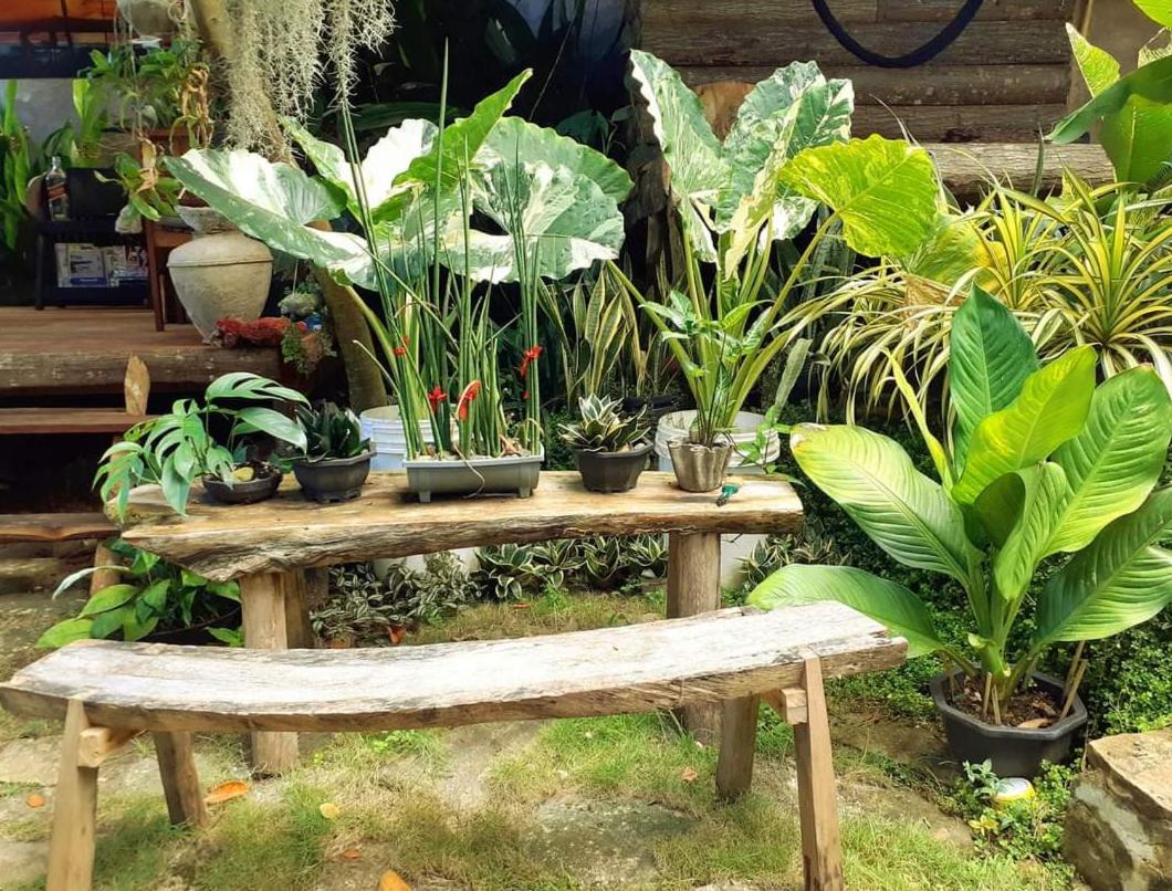 فندق Payag N' Kapitan, Experience Pinubre Living سيكويجور المظهر الخارجي الصورة
